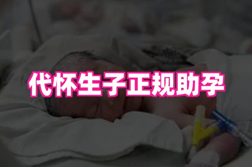 gfg孕网 1