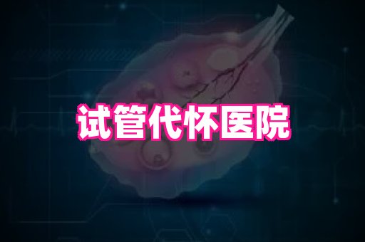 gfg孕网 2