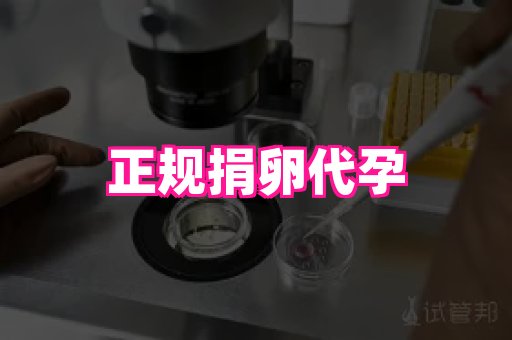 gfg孕网 4